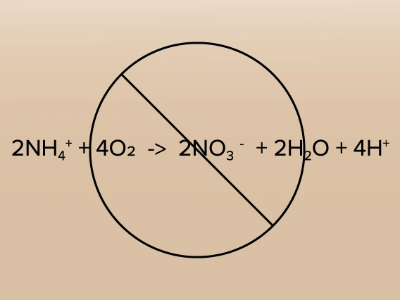 N stabilization Products