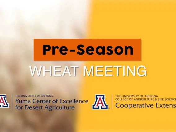 Embedded thumbnail for 2019 Pre-Season Wheat Meeting