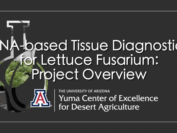 Embedded thumbnail for DNA-based Tissue Diagnostics for Lettuce Fusarium Project Overview