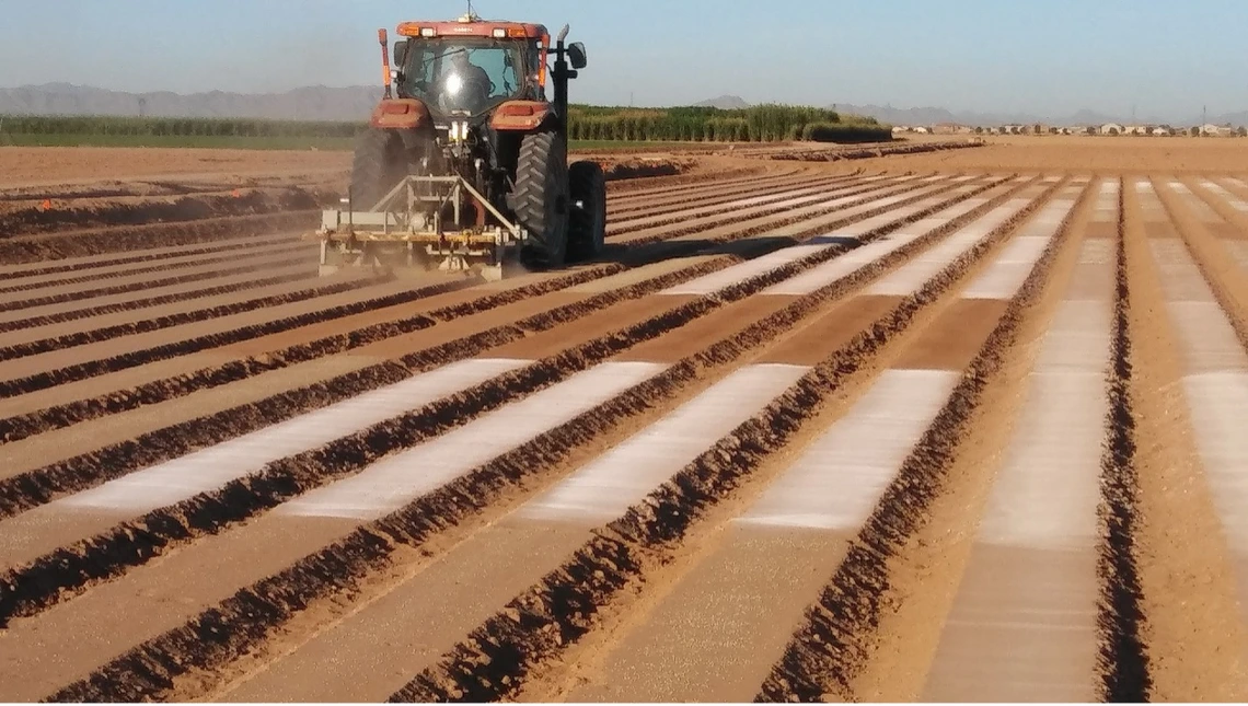 Figure 2-2-5. Band applied fertilizer is applied with a knife in a narrow zone below or to the side of where seed will be planted. Strip applied, as shown above for an experiment at a university farm, is applied to the bed and power mulched into the bed.