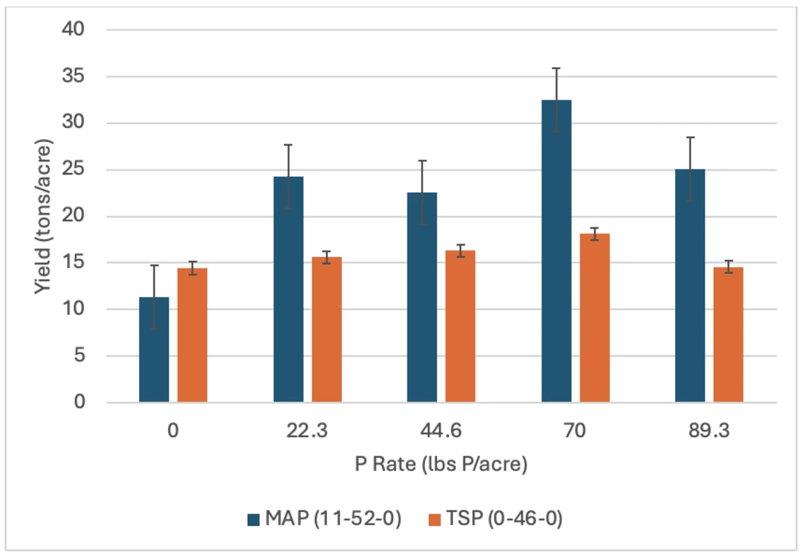 Figure 2-2-6. Response of lettuce to triple superphosphate compared to monoammonium phosphate (MAP) in a field experiment conducted in Maricopa in 2011.