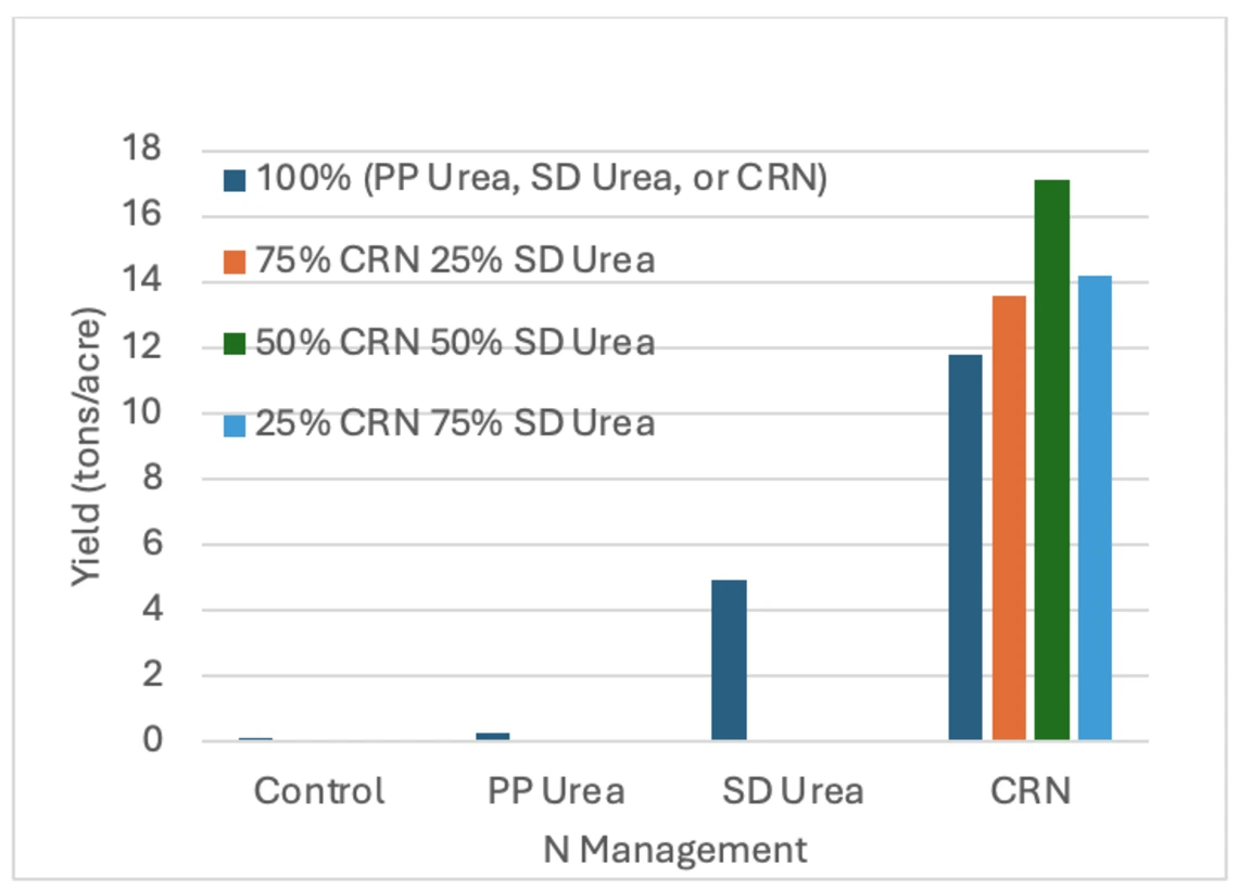 Figure 4-5-7. Response of furrow irrigated lettuce to urea applied pre-plant (PP), split-sidedress (SD) urea combinations of Controlled Release Nitrogen (CRN) and sidedress (SD) urea. Control is no N fertilizer.
