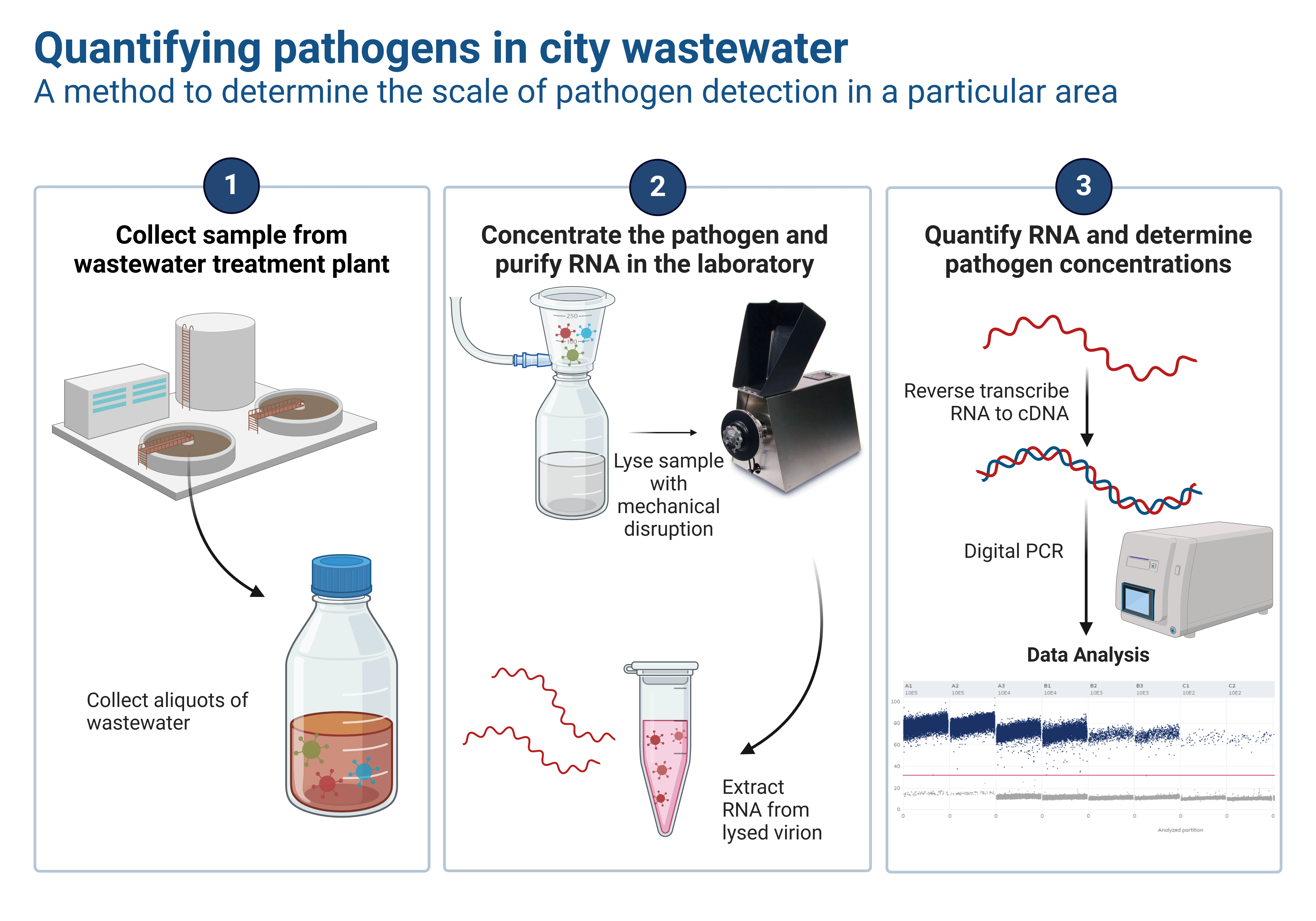 Quantifying pathogens in city wastewater illustrated graphic