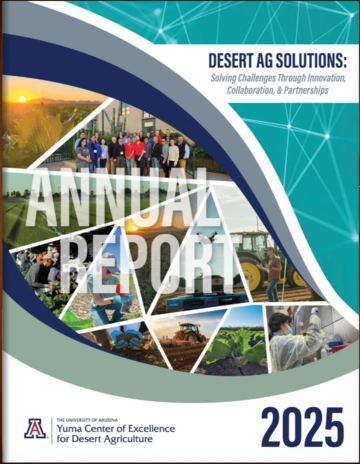 YCEDA 2025 Annual Report