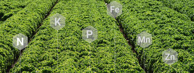 plant nutrition image