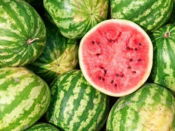 watermelon