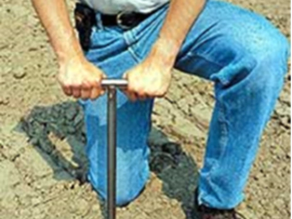 soil sample
