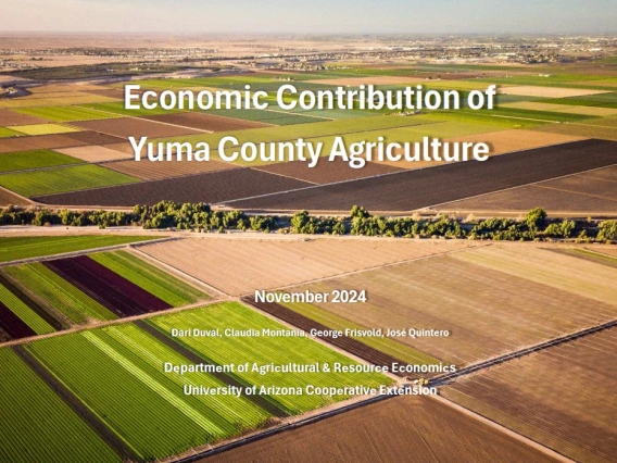 Dr. George Frisvold's November 2024 report