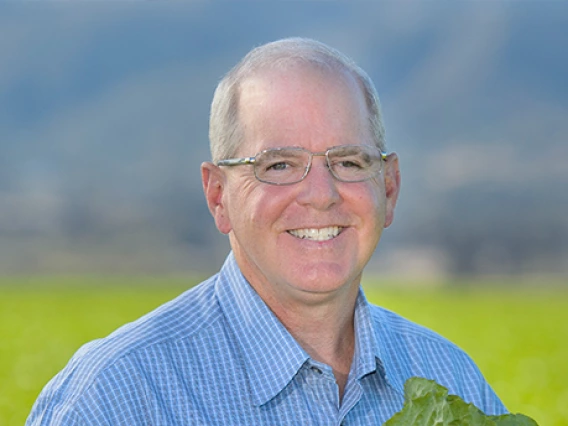John D'Arrigo