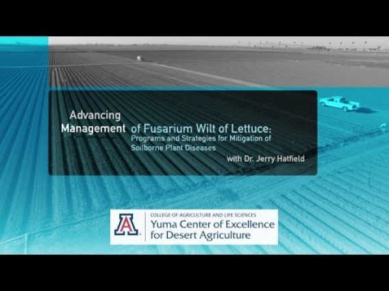Embedded thumbnail for Programs and Strategies for Mitigation of Soilborne Plant Diseases