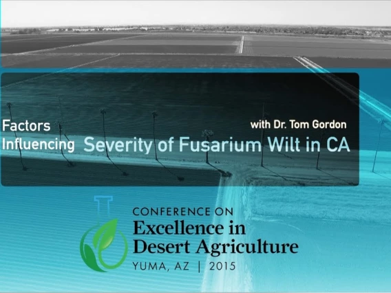 Embedded thumbnail for Factors Influencing Severity of Fusarium Wilt in California