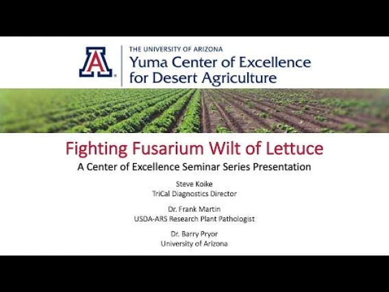 Embedded thumbnail for Fighting Fusarium Wilt of Lettuce: A Center of Excellence Seminar Series Presentation