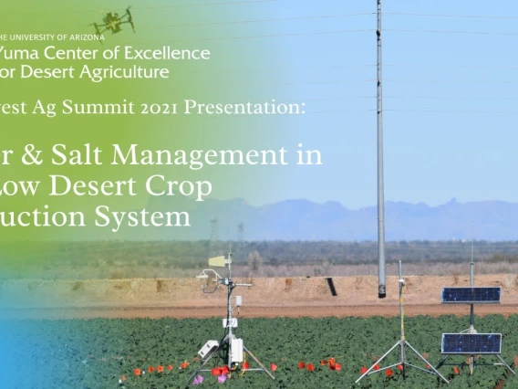 Embedded thumbnail for 2021 Southwest Ag Summit: Water &amp; Salt Management in the Low Desert Crop Production System