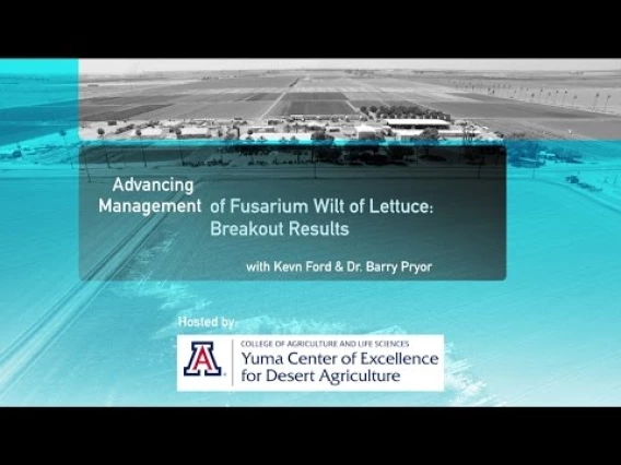 Embedded thumbnail for Advancing Management of Fusarium Wilt of Lettuce: Breakout Results
