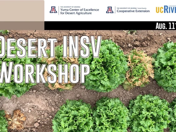Embedded thumbnail for 2021 Desert INSV Workshop