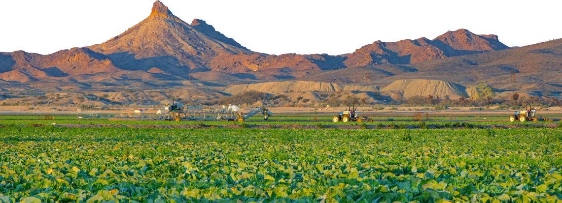 Yuma sunset