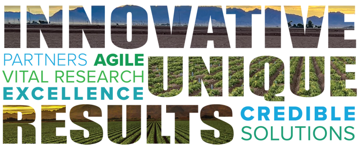 Innovative, partners, agile, vital, research, excellence, unique, results, credible, solutions