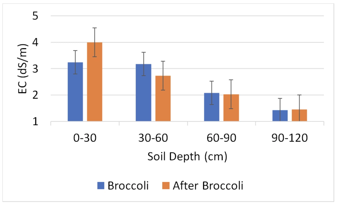 Figure 2. Salinity increases in surface of broccoli field.
