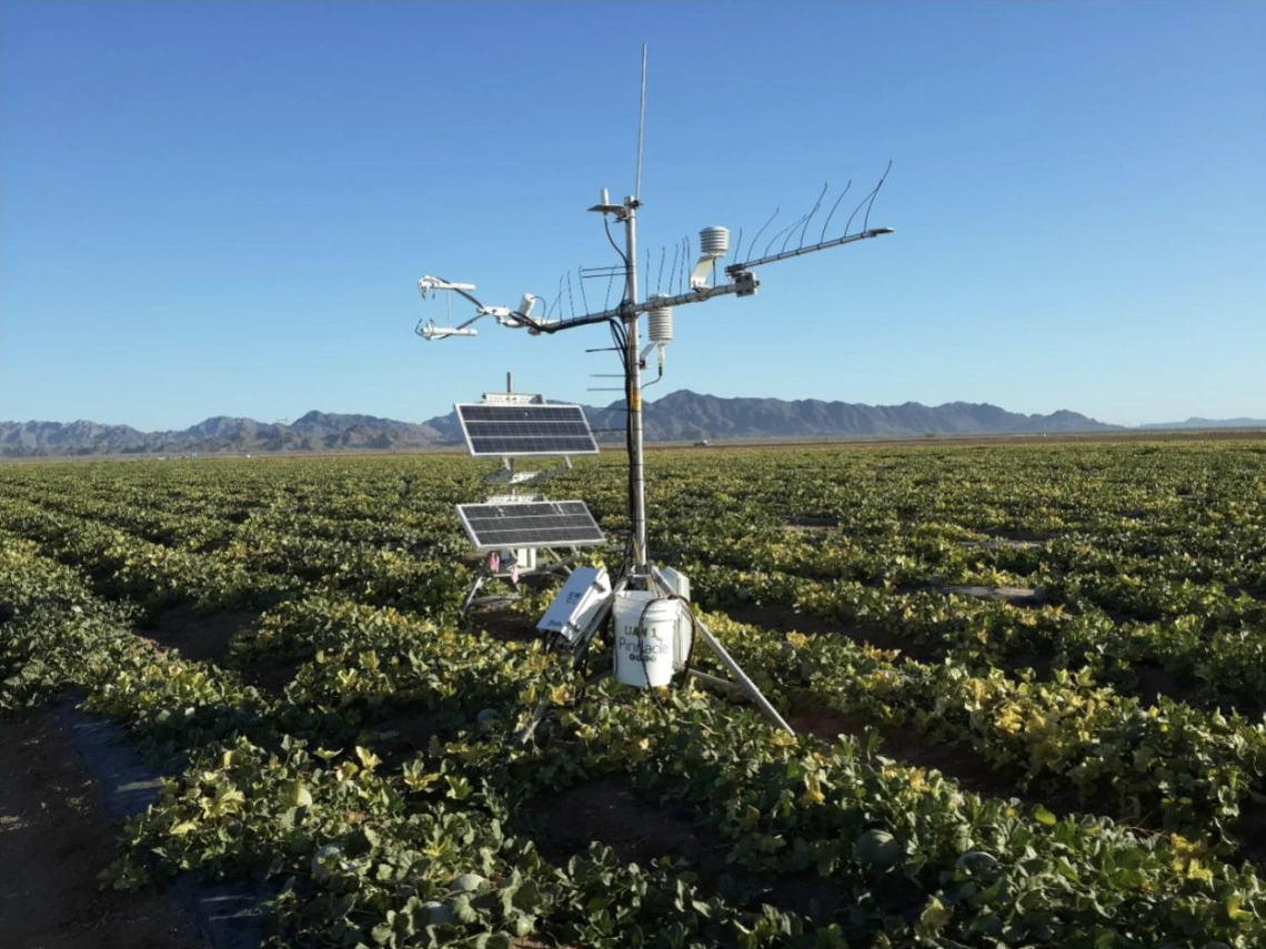Figure 1. Eddy Covariance system in cantaloupe field in the Yuma area.