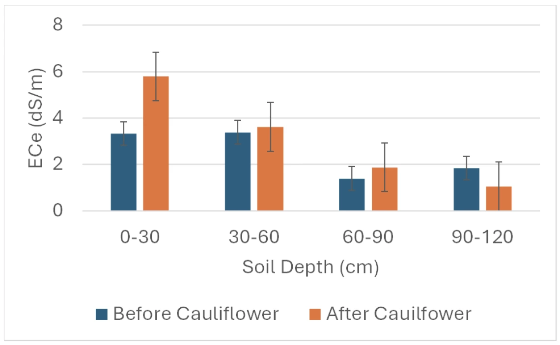 Figure 2. Salt accumulation in surface soil during cauliflower production.