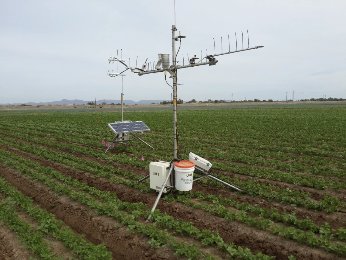Figure 1. Eddy covariance system in a celery field within the Yuma County Water Users Association.