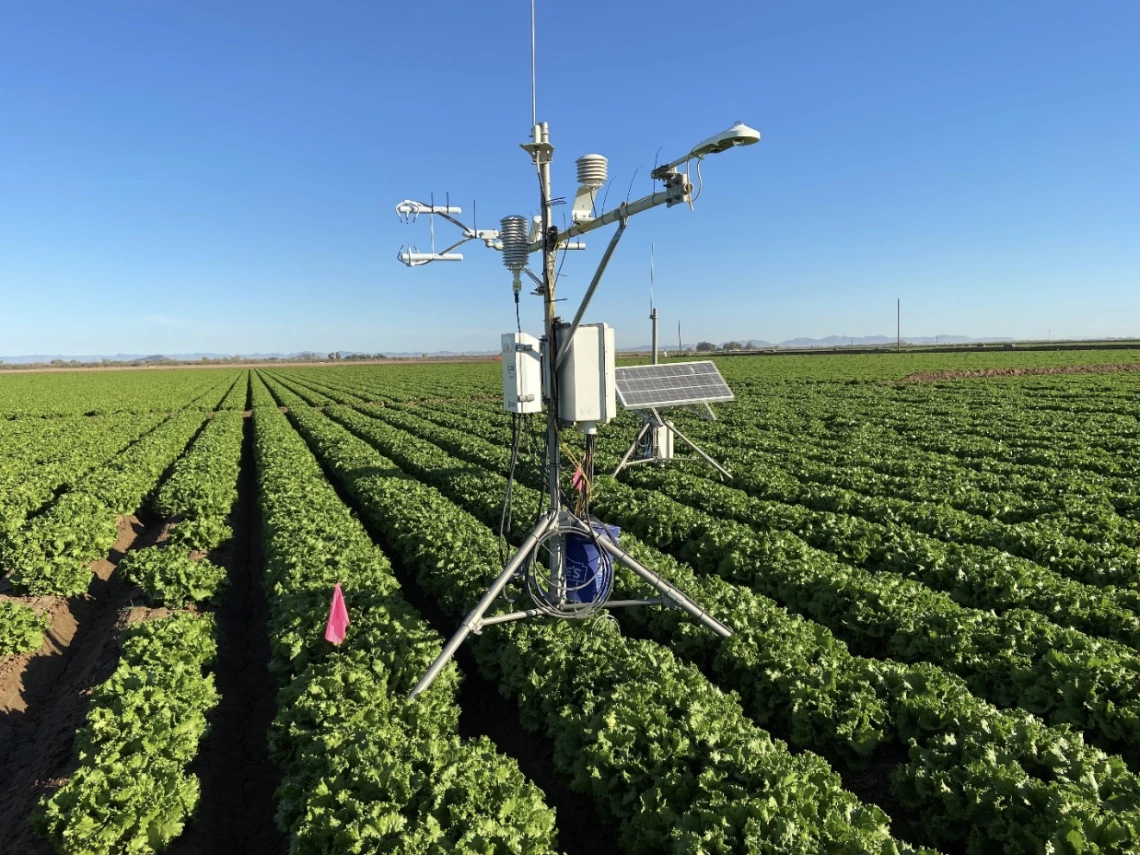 Figure 1. Eddy Covariance system in a furrow irrigated leaf lettuce field in the Wellton Mohawk Irrigation and Drainage District.
