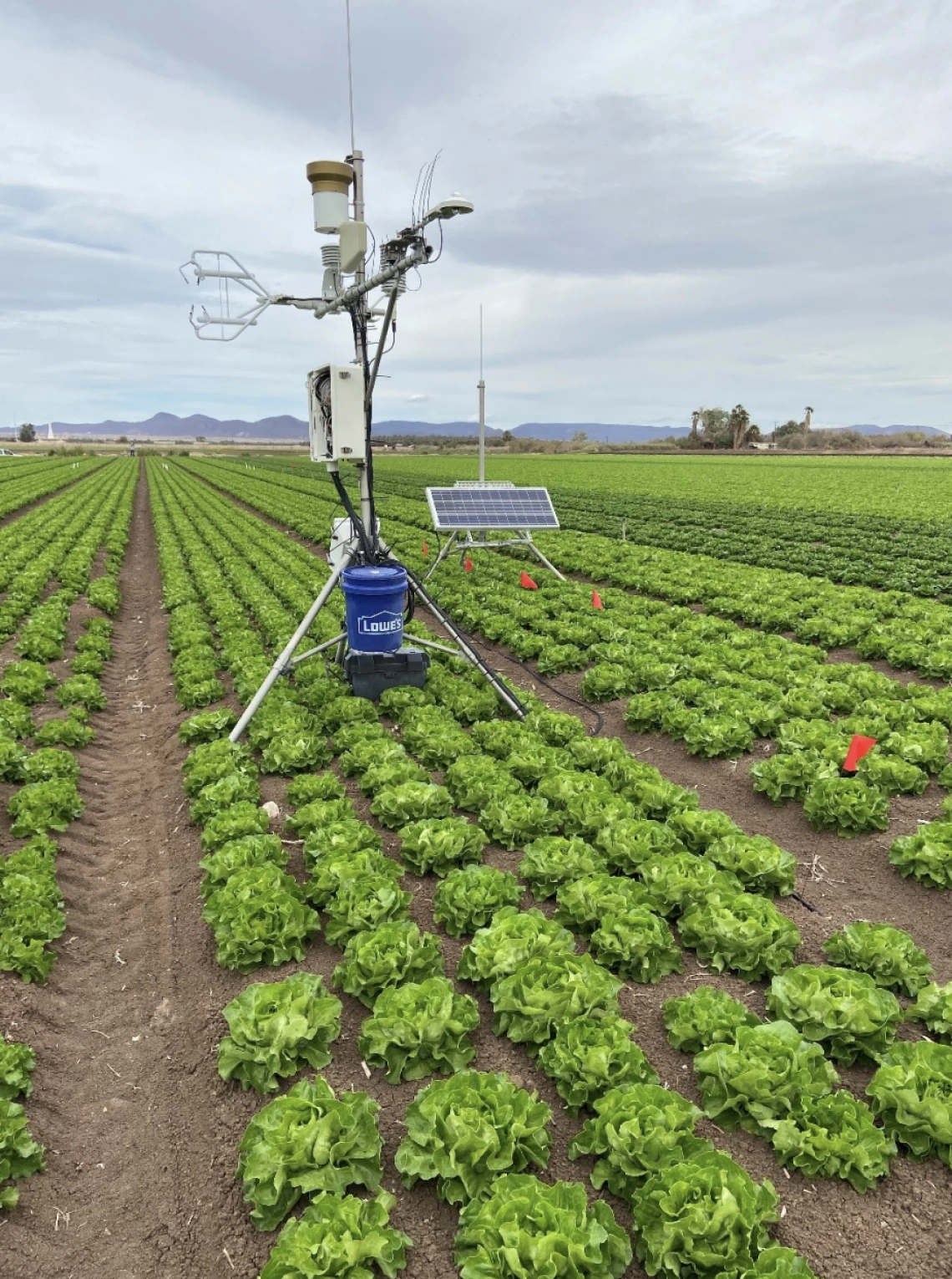 Figure 2. Eddy covariance system in Boston field within the Bard Water District irrigation by sprinklers all season.