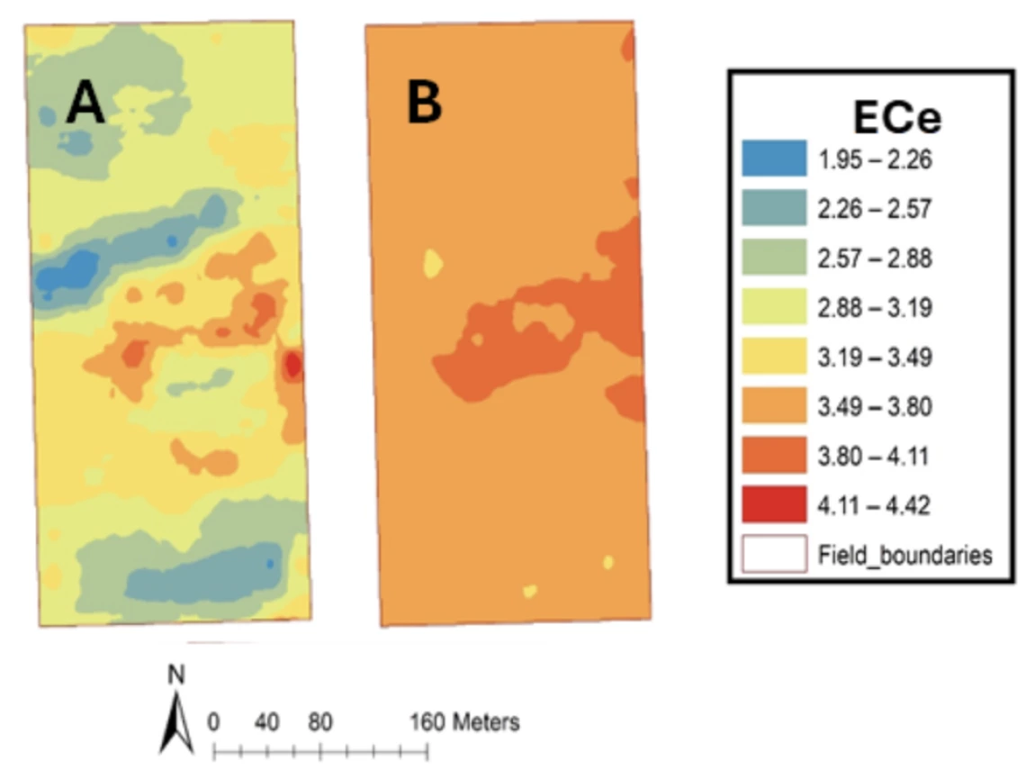 Figure 2. Field-wide salinity (dS/m) to 30 cm depth before and after iceberg lettuce for iceberg lettuce produced in the Yuma Irrigation district in 2018.