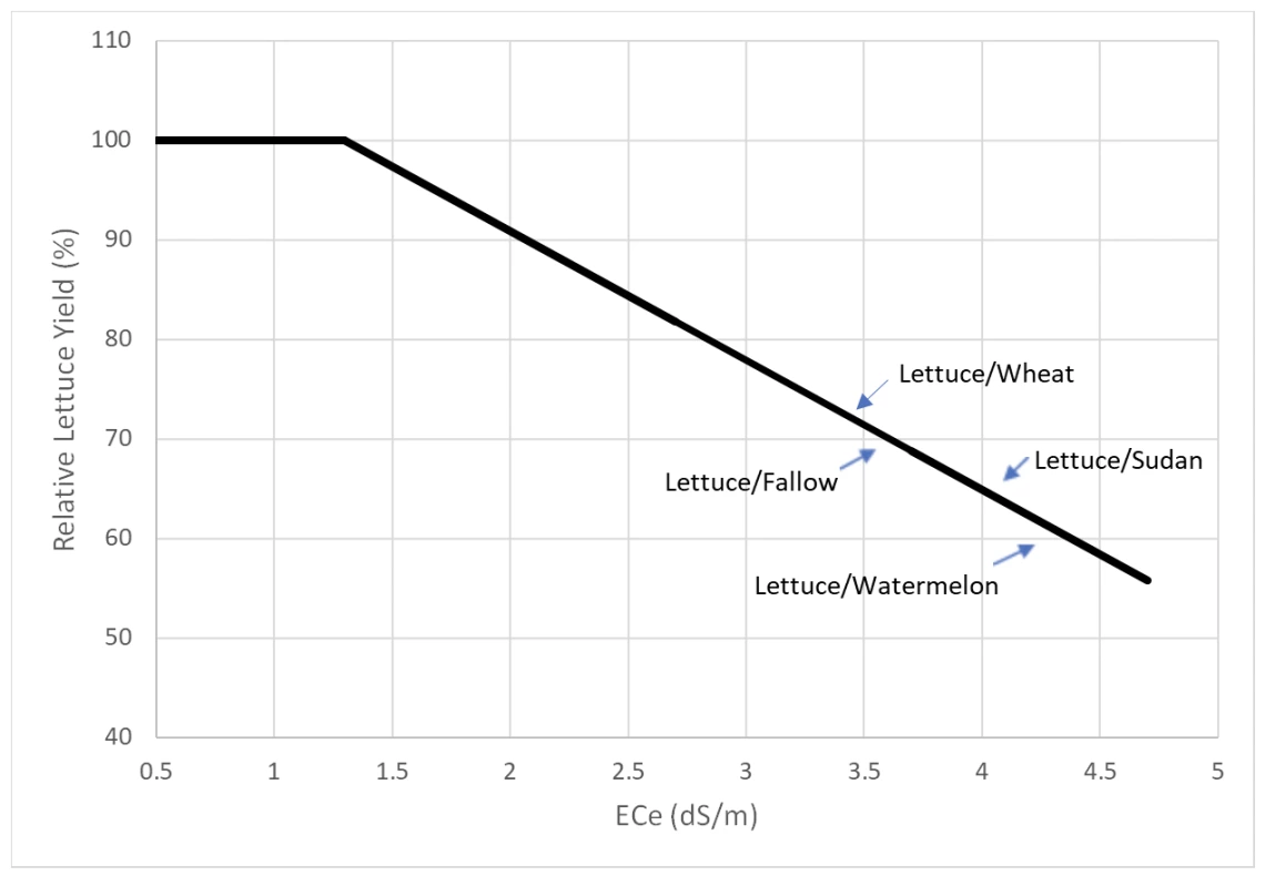 Figure 4. Projected lettuce yields following several lettuce rotations based on measured average ECe across sites after rotations. We project significant production losses without summer leaching.
