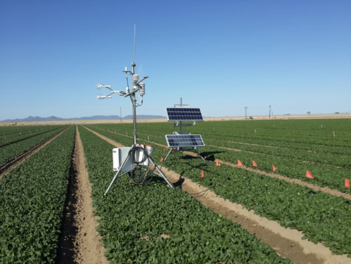 Figure 1. Eddy covariance systems used to measure ETc in baby spinach production fields. 