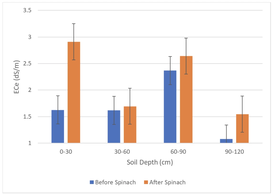 Figure 3. Increase in soil salinity during a baby spinach cropping season. 