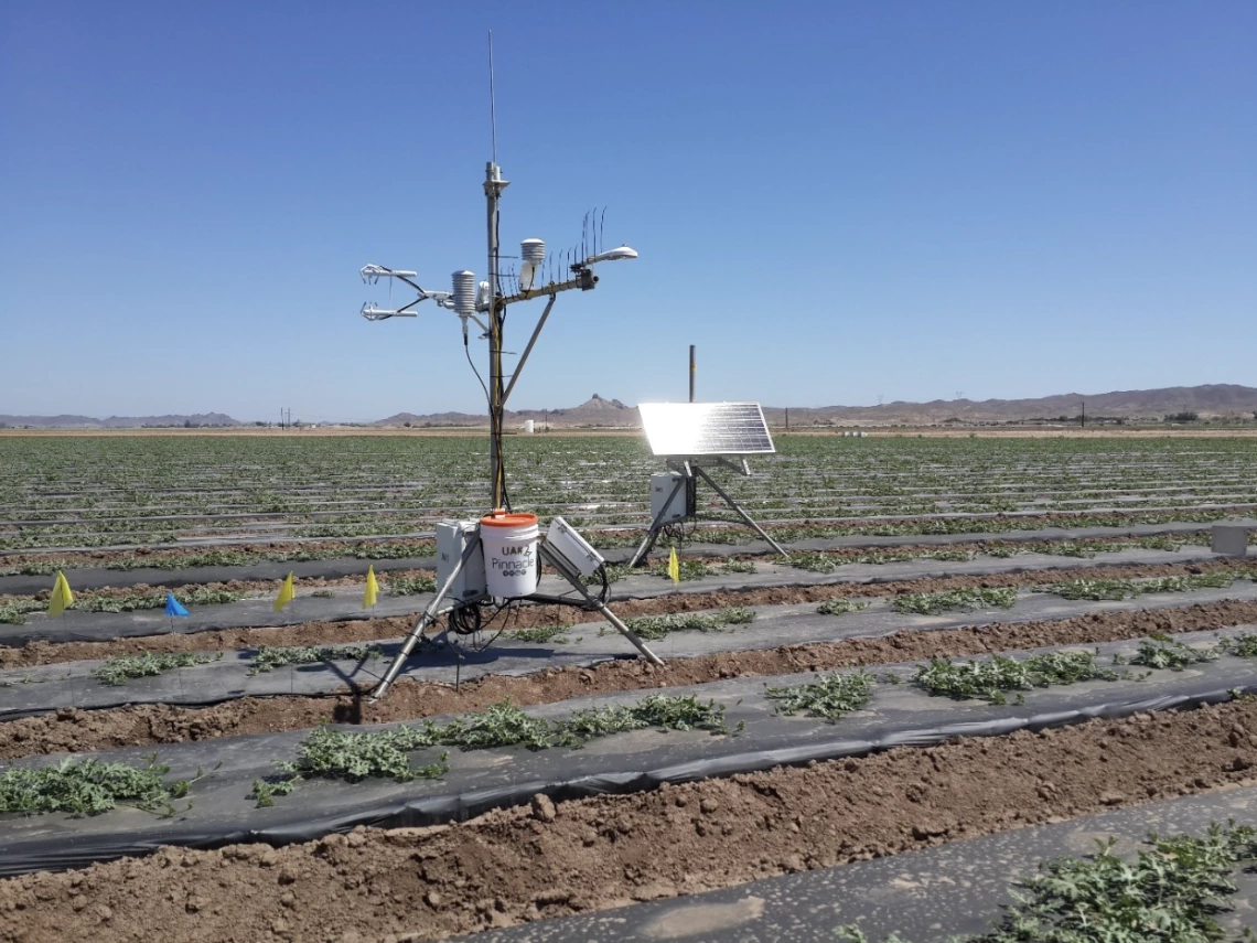 Figure 1. Eddy covariance system in watermelon field in the North Gila Irrigation and Drainage District.