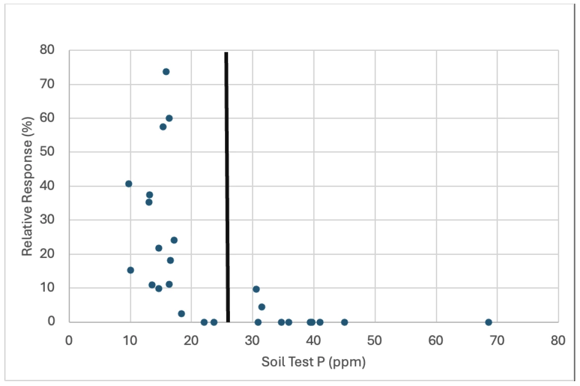 Figure 2-2-2. Relative response of baby spinach to Olsen soil test P. This data was collected from multiple field P fertilizer experiments conducted in Arizona from 2014 -2019.