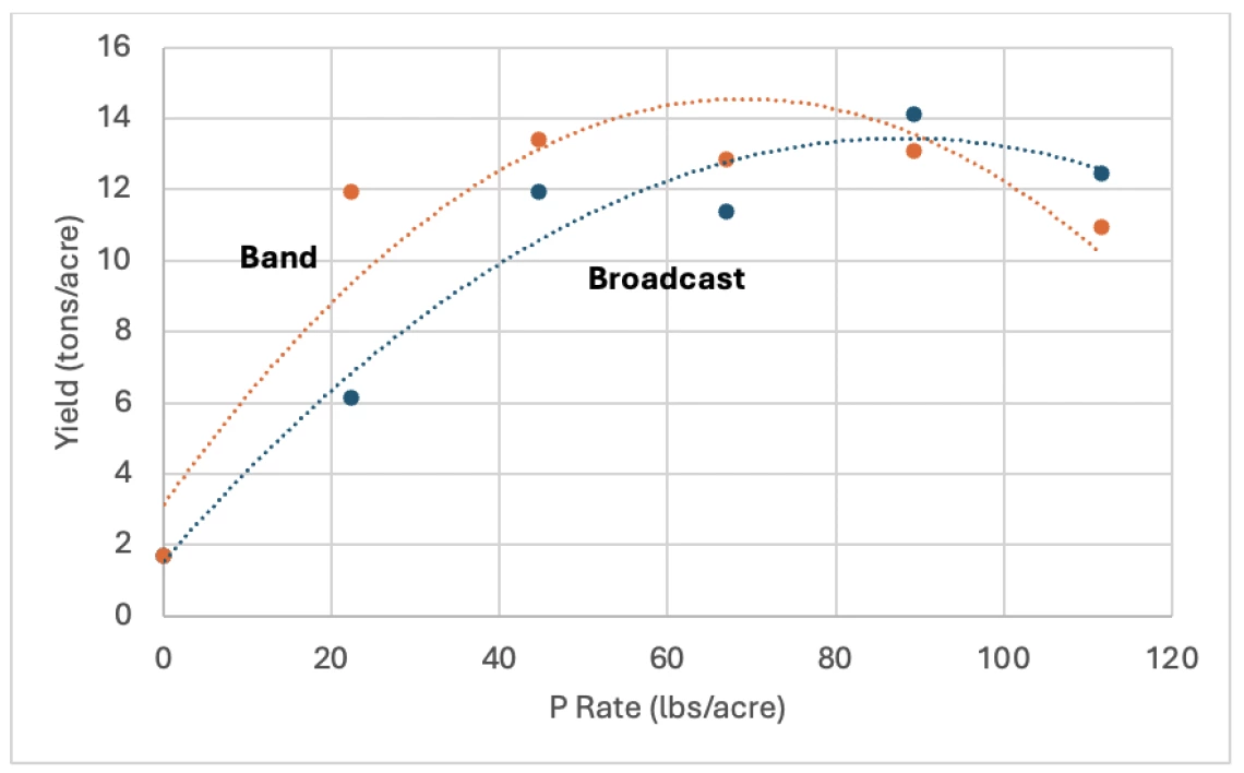 Figure 2-2-4. Response of lettuce to broadcast or banded MAP in Yuma in 2005.