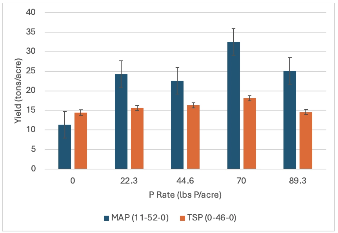 Figure 2-2-6. Response of lettuce to triple superphosphate compared to monoammonium phosphate (MAP) in a field experiment conducted in Maricopa in 2011.