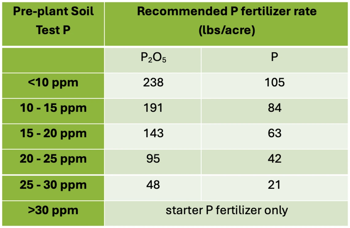 Celery (3.4) | Desert Ag Solutions
