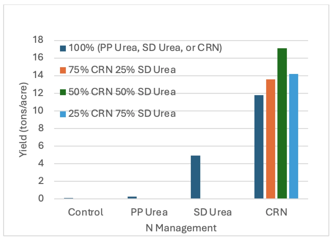 Figure 4-5-7. Response of furrow irrigated lettuce to urea applied pre-plant (PP), split-sidedress (SD) urea combinations of Controlled Release Nitrogen (CRN) and sidedress (SD) urea. Control is no N fertilizer.