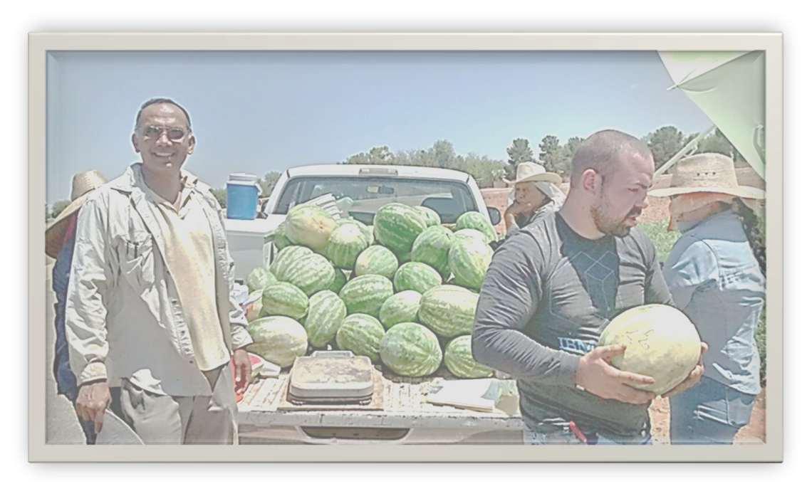 Jay Subramani (front left), Enrico Sanchez (front middle), Lorena Alleman (front right), and others harvesting a watermelon soil fertility experiment in spring 2021.