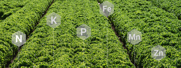 plant nutrition image