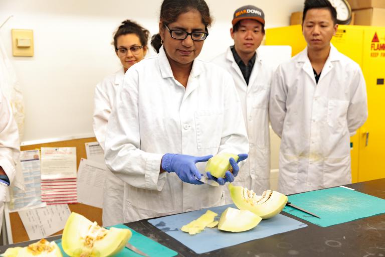 Dr. Ravishankar, University of Arizona, prepares a melon for lab analysis