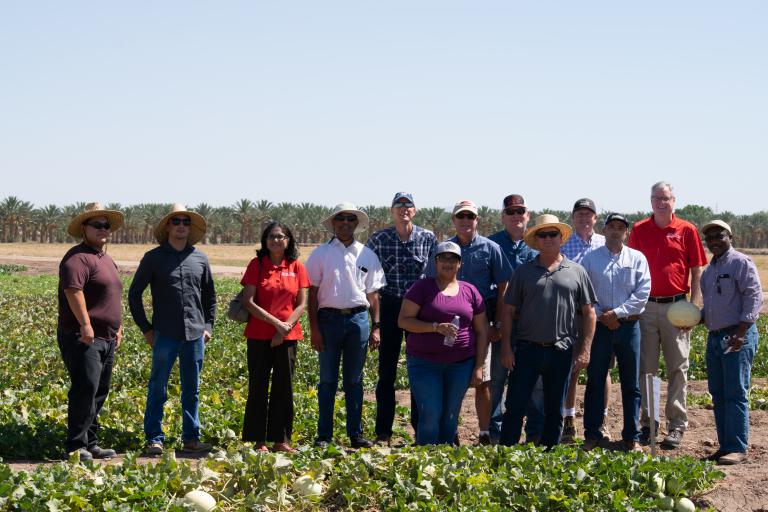 2018 Melon Field Day hosted by YCEDA at the Yuma Ag Center